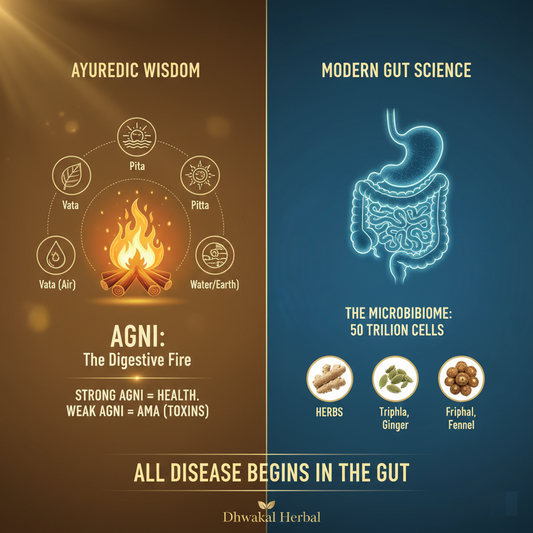 The Fire Within: Why Your Gut is the Secret to Total Health