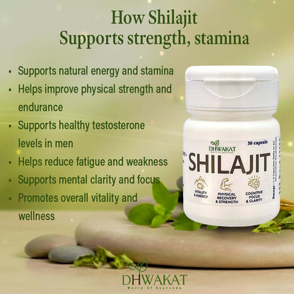 Shilajit Cap – Ayurvedic Strength, Stamina & Vitality Capsule