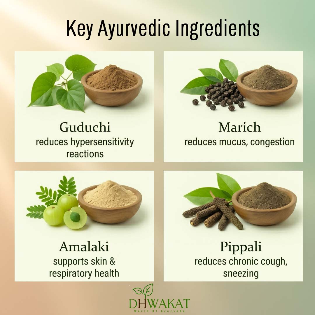 Allergy-GO - Ayurvedic allergy Support Capsule
