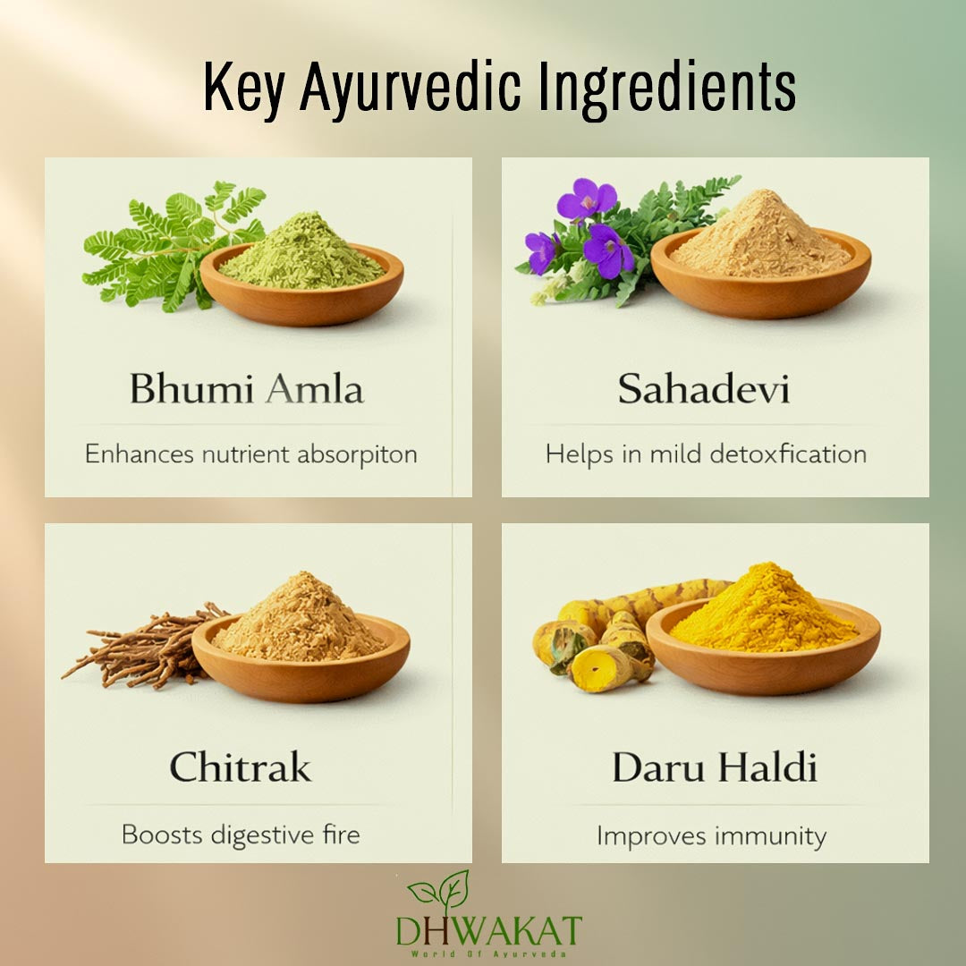 Immuno Plus - Ayurvedic Immunity Support Syrup