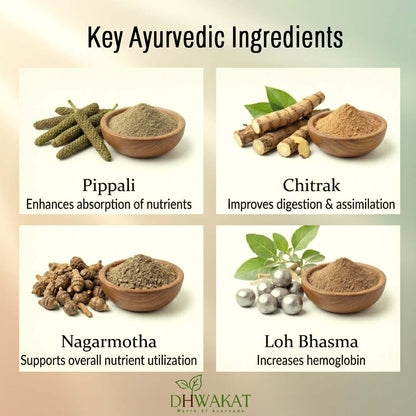 Lohaveda - Ayurvedic Iron Deficiency Support Tablets